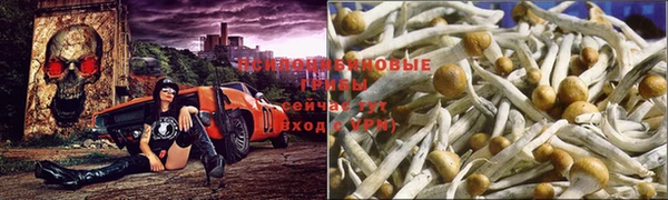 прущий лед Алексеевка