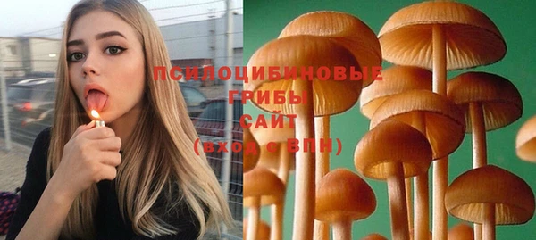 a pvp Алексин