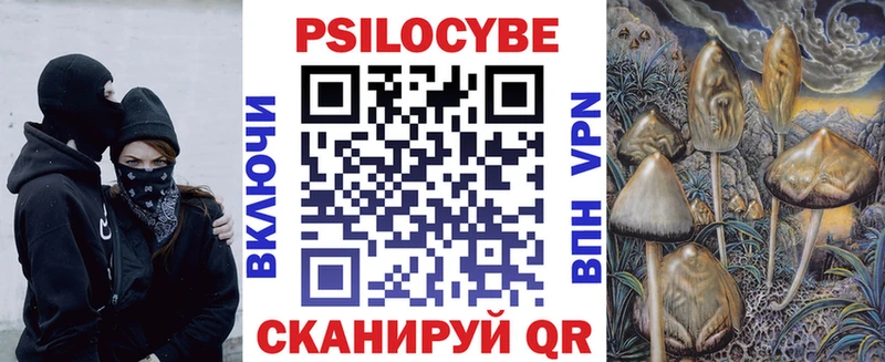 Псилоцибиновые грибы Psilocybine cubensis  Боровск 